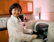 Scientist conducting food science laboratory testing